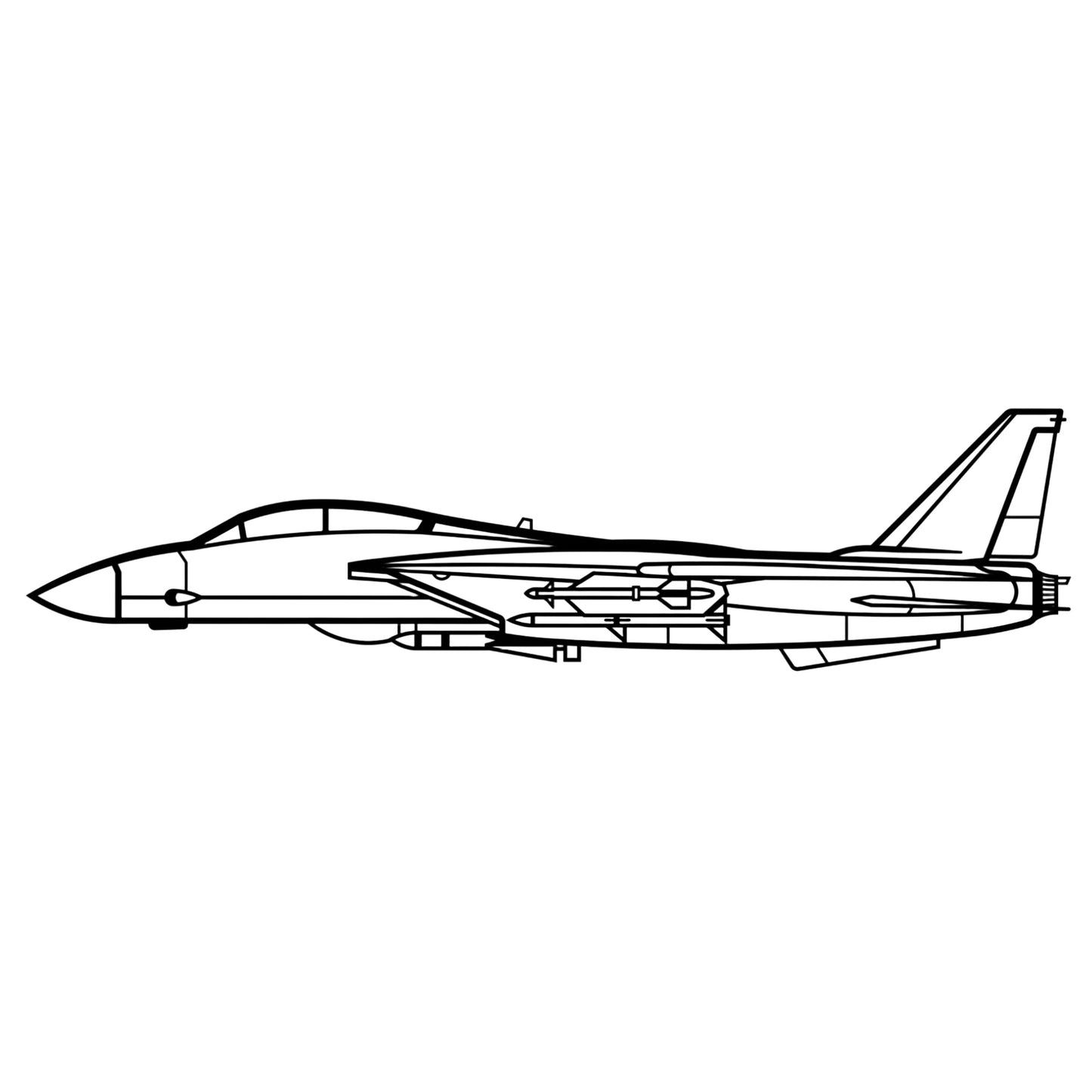 F-14 Style 