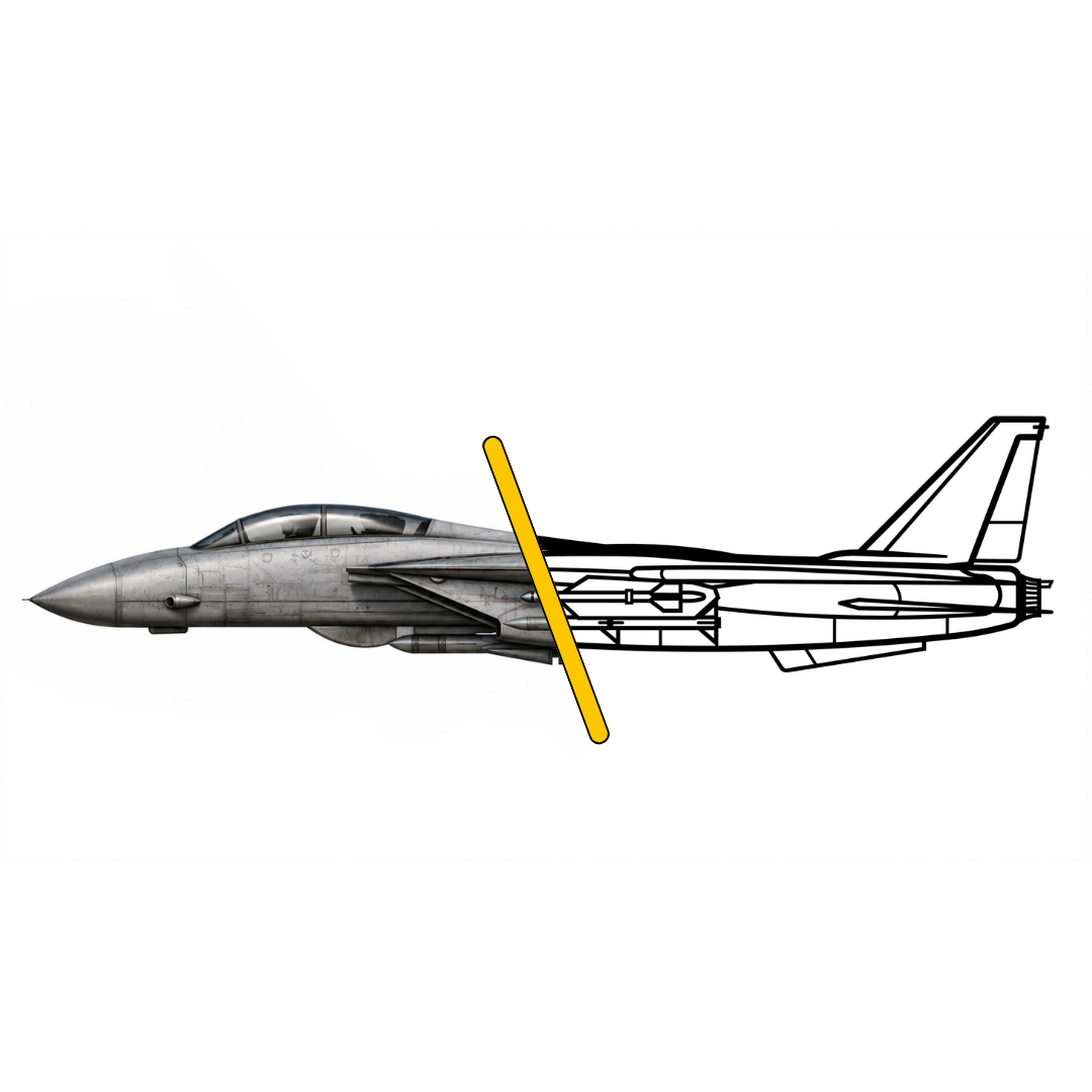 F-14 Style 