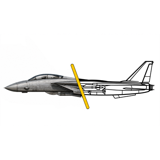F-14 Style 